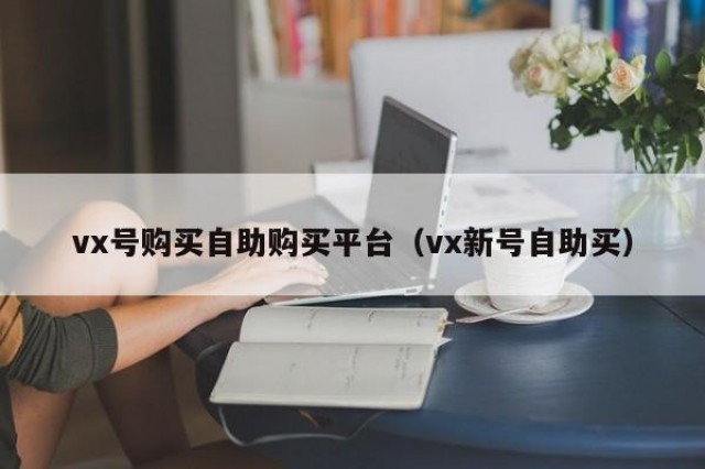 vx号购买自助购买平台（vx新号自助买）